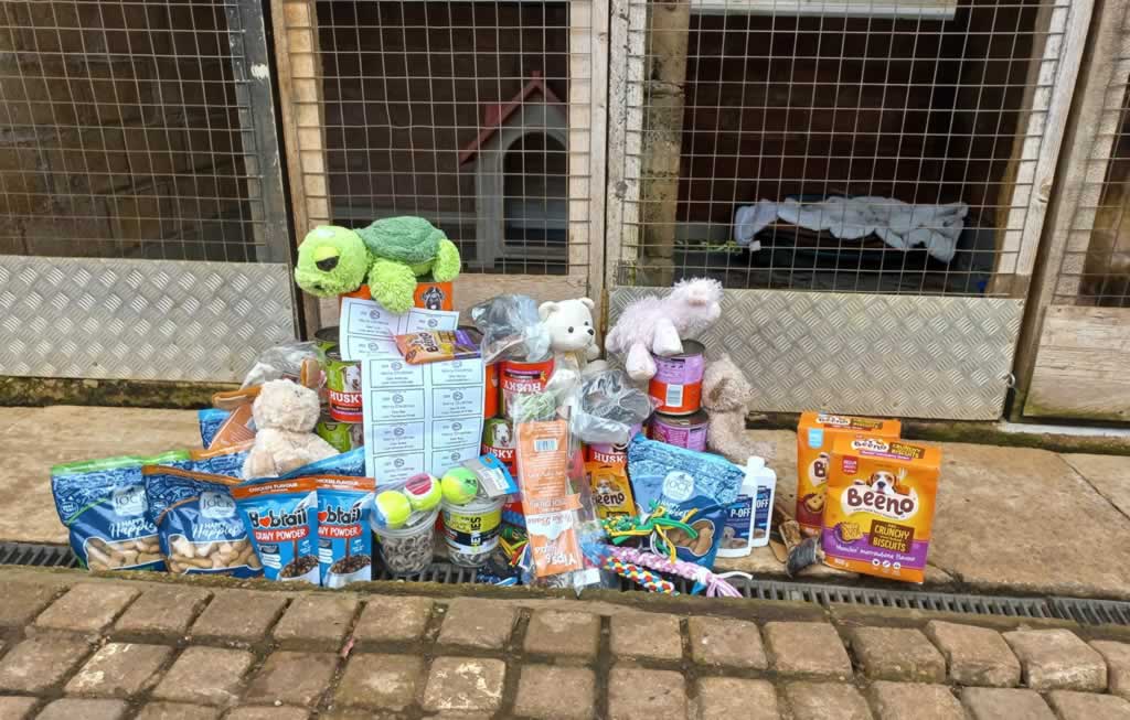 Animal Antics Pet Rescue